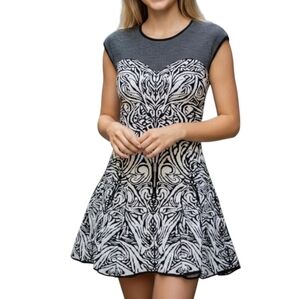 Max Studio skater dress
